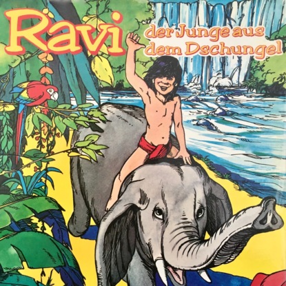 Скачать книгу Ravi, Der Junge aus dem Dschungel