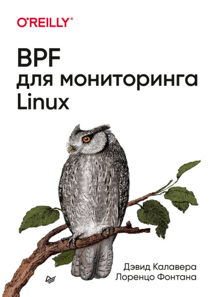 Скачать книгу BPF для мониторинга Linux