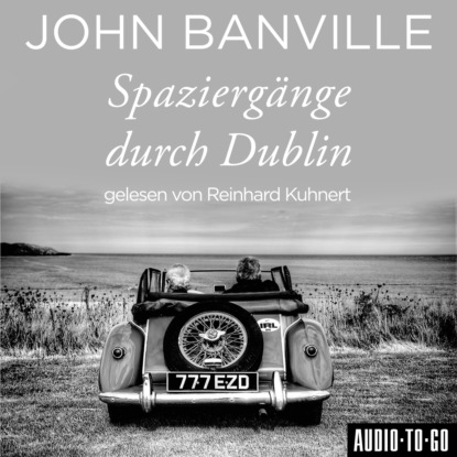 Скачать книгу Spaziergänge durch Dublin (Ungekürzt)