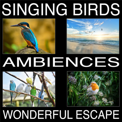 Скачать книгу Singing Birds Ambiences, Wonderful Escape