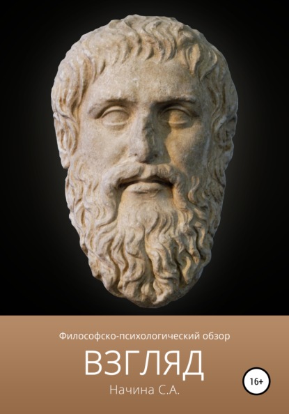 Скачать книгу Взгляд