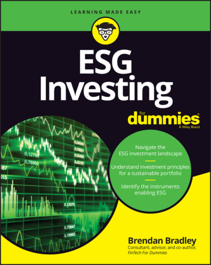 Скачать книгу ESG Investing For Dummies