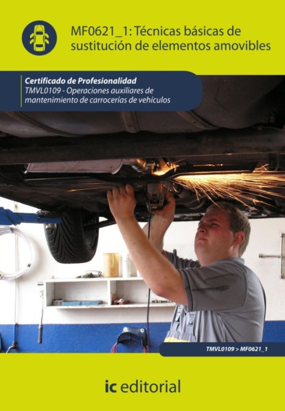 Скачать книгу Técnicas básicas de sustitución de elementos amovibles. TMVL0109