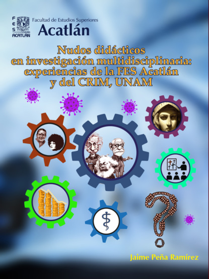 Скачать книгу Nudos didácticos en investigación multidisciplinaria: experiencias de la FES Acatlán y del CRIM, UNAM
