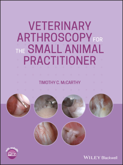 Скачать книгу Veterinary Arthroscopy for the Small Animal Practitioner