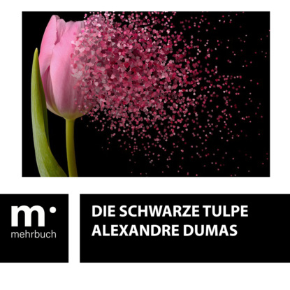 Скачать книгу Die schwarze Tulpe
