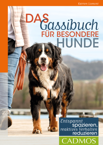 Скачать книгу Das Gassi-Buch für besondere Hunde