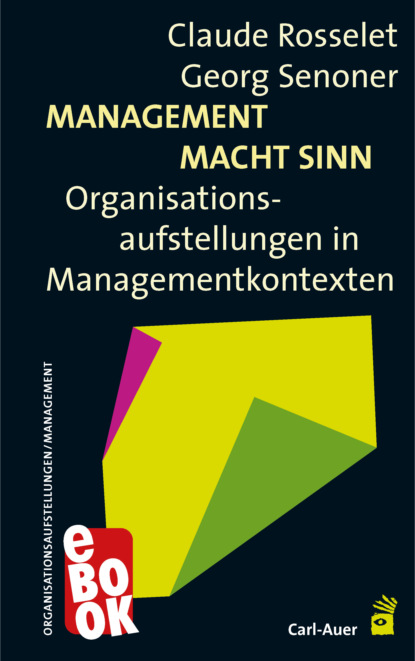Скачать книгу Management Macht Sinn