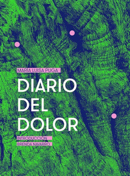 Скачать книгу Diario del dolor