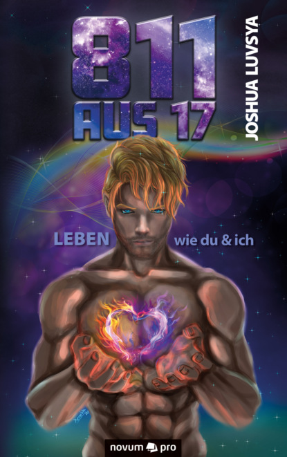 Скачать книгу 811 aus 17