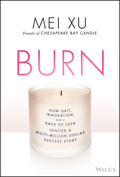 Скачать книгу Burn