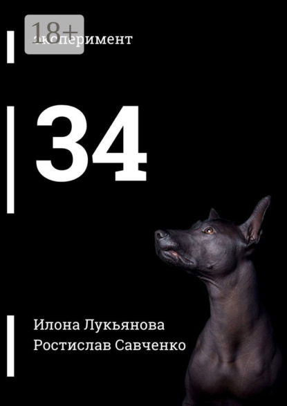 Скачать книгу 34