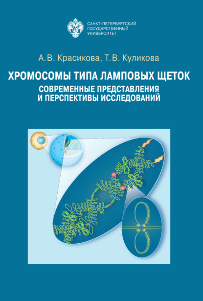 Скачать книгу Хромосомы типа ламповых щеток. Современные представления и перспективы исследований