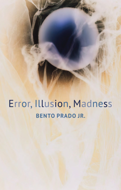 Скачать книгу Error, Illusion, Madness