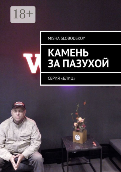 Скачать книгу Камень за пазухой. Серия «Блиц»