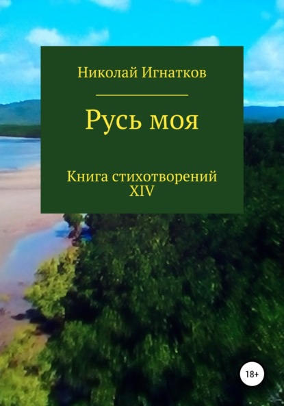 Скачать книгу Русь моя. Книга XIV