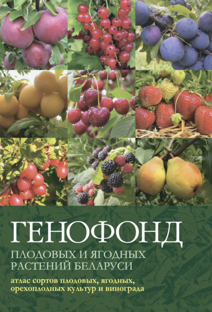Скачать книгу Генофонд плодовых и ягодных растений Беларуси: атлас сортов плодовых, ягодных, орехоплодных культур и винограда