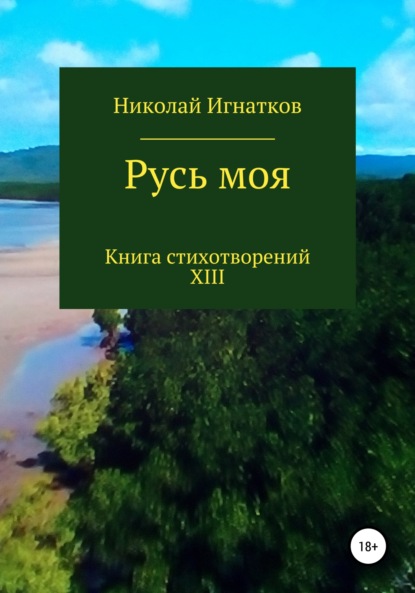 Скачать книгу Русь моя. Книга XIII