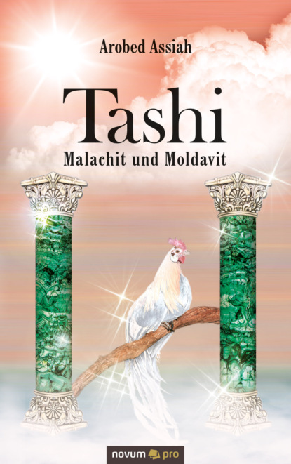 Скачать книгу Tashi – Malachit und Moldavit