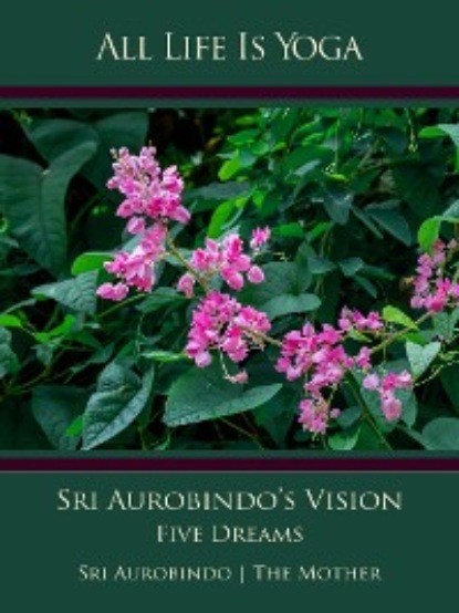 Скачать книгу All Life Is Yoga: Sri Aurobindo’s Vision