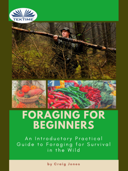 Скачать книгу Foraging For Beginners