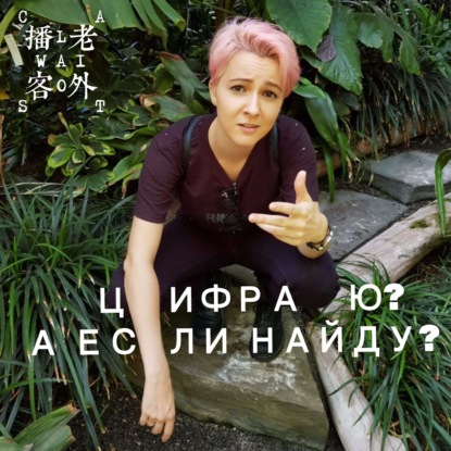 Скачать книгу Призрак цифрового китаиста