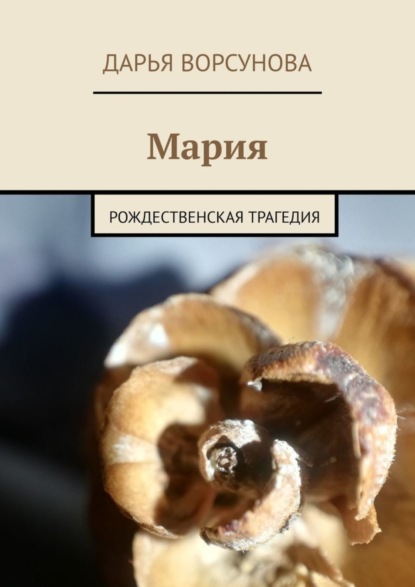 Скачать книгу Мария. Рождественская трагедия