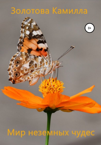 Скачать книгу Мир неземных чудес