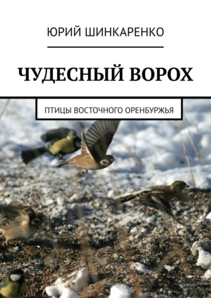 Скачать книгу ЧУДЕСНЫЙ ВОРОХ. Птицы Восточного Оренбуржья