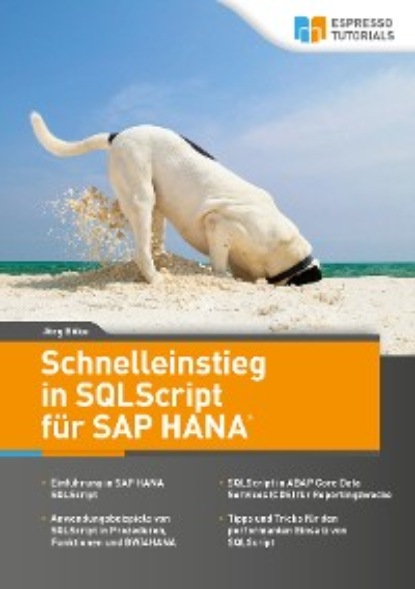 Скачать книгу Schnelleinstieg in SQLScript für SAP HANA