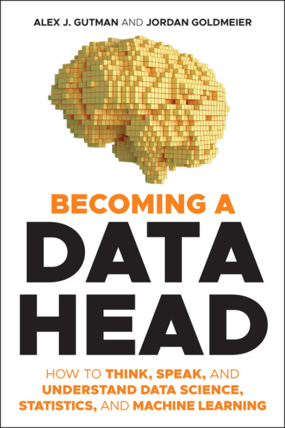 Скачать книгу Becoming a Data Head
