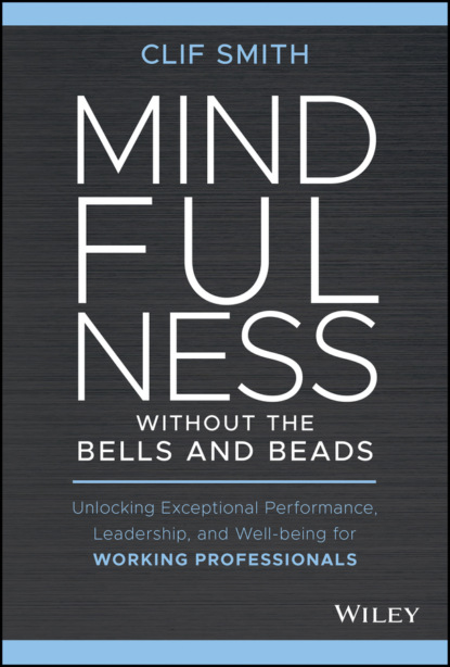 Скачать книгу Mindfulness without the Bells and Beads