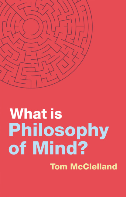 Скачать книгу What is Philosophy of Mind?