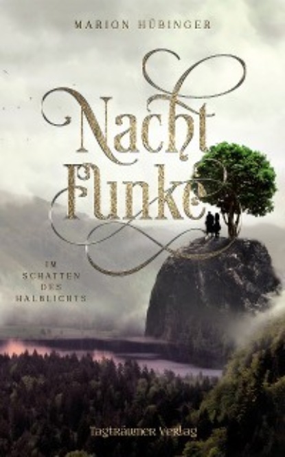 Скачать книгу Nachtfunke 2