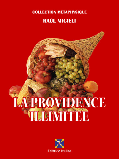 Скачать книгу La Providence Illimitée