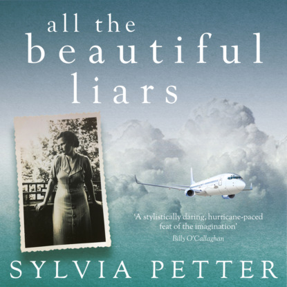 Скачать книгу All the Beautiful Liars (Unabridged)
