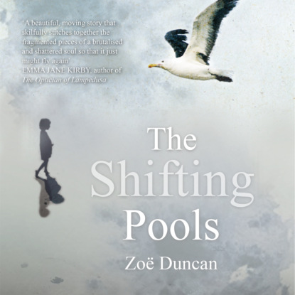 Скачать книгу The Shifting Pools (Unabridged)