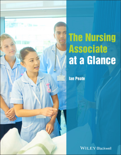 Скачать книгу The Nursing Associate at a Glance
