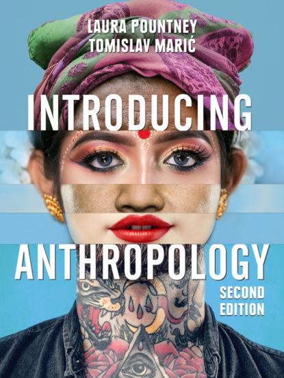 Скачать книгу Introducing Anthropology