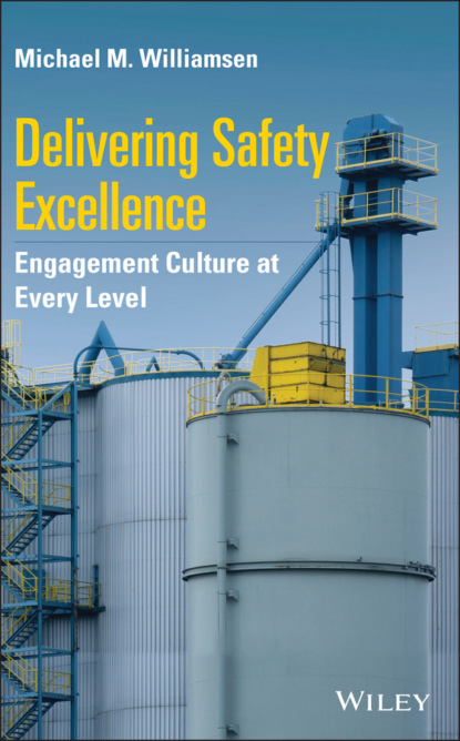 Скачать книгу Delivering Safety Excellence