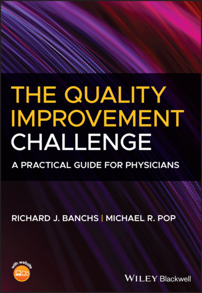 Скачать книгу The Quality Improvement Challenge