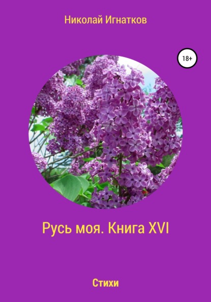 Скачать книгу Русь моя. Книга 16