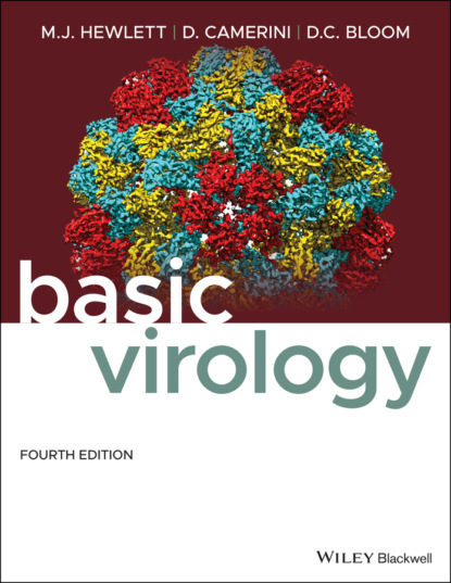 Скачать книгу Basic Virology