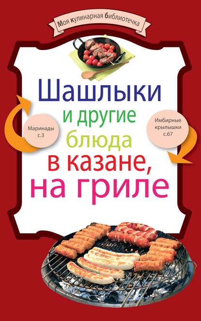 Скачать книгу Шашлыки и другие блюда в казане, на гриле