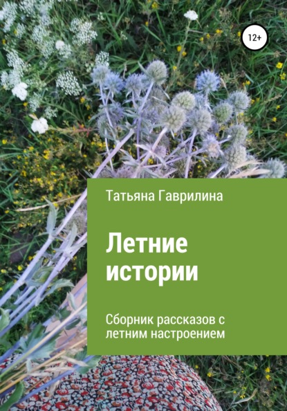 Скачать книгу Летние истории. Сборник рассказов с летним настроением