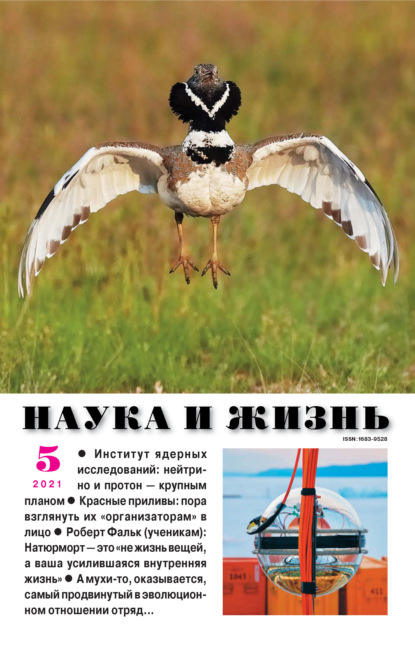Скачать книгу Наука и жизнь №05/2021