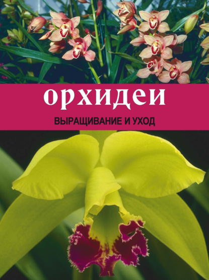 Скачать книгу Орхидеи: Выращивание и уход