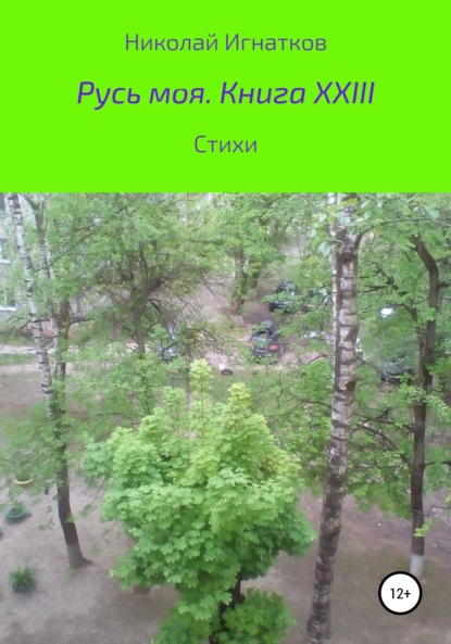 Скачать книгу Русь моя. Книга XXIII