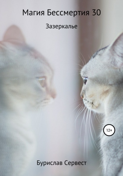 Скачать книгу Магия Бессмертия 30. Зазеркалье