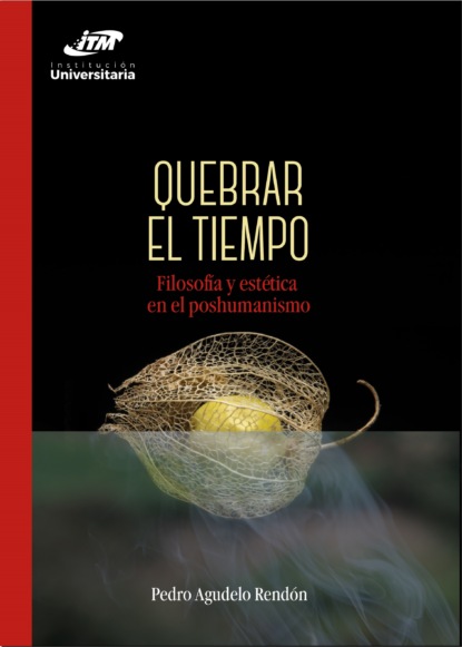 Скачать книгу Quebrar el tiempo
